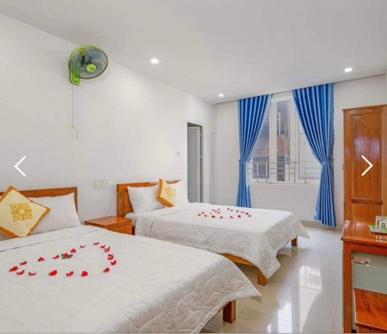 Hoa Anh Dao Hotel Đà Nẵng Ngoại thất bức ảnh